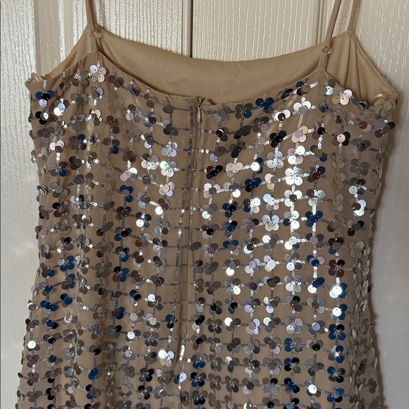 ZARA Sequin Mini Dress - Picture 10 of 12